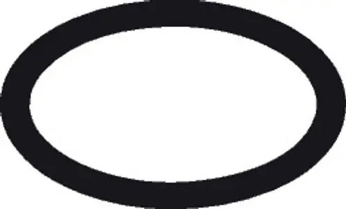 Schwarzer O-Ring auf weißem Hintergrund, typisches Dichtungsprodukt. Herstellersymbol der Marke Hansgrohe möglicherweise sichtbar.